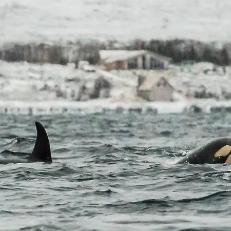 Explore Panorama View Вилла *